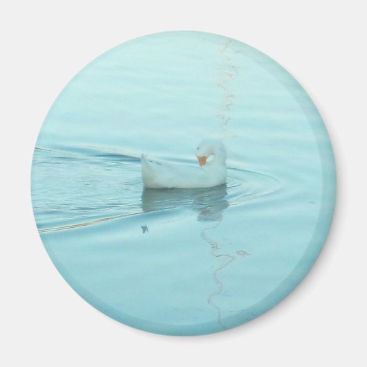 Magnet für Weißente (Vorne)