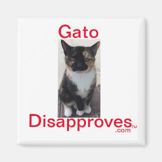 Magnet, Gato missbilligt Magnet