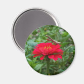 Magnet/Gebet Mantis Magnet (Vorderseite/Rückseite)