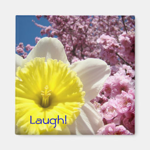 Magnet Gelbe Daffodische Blume Rosa Blüten