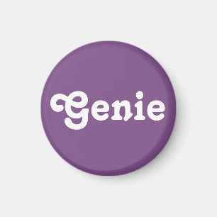 Magnet Genie
