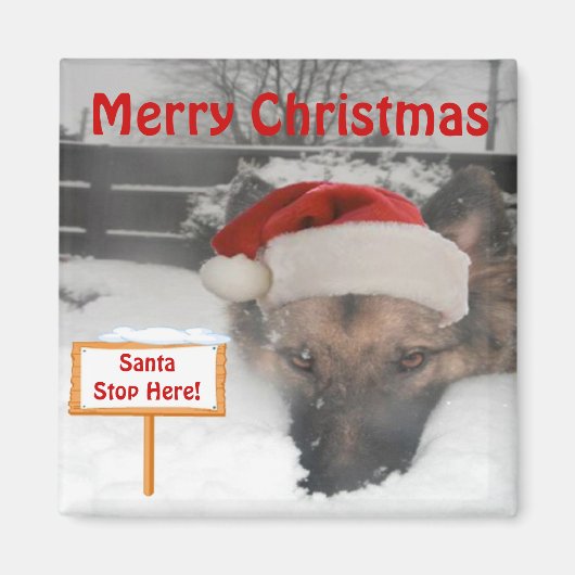 Magnet German Shepherd Santa Stopp Hier Unterschre (Vorne)
