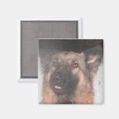 Magnet German Shepherd Sticken Zunge Out (Vorderseite/Rückseite)