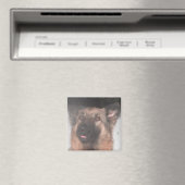 Magnet German Shepherd Sticken Zunge Out (In Situ (Geschirrspüler))