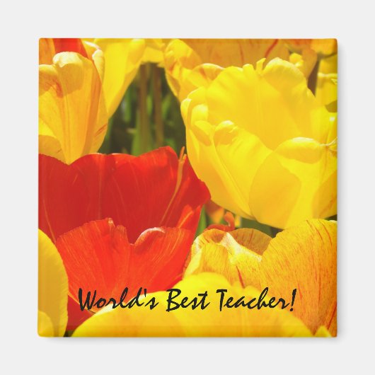 Magnet-Geschenke von Tulip-Blume Magnet (Vorne)