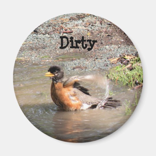 Magnet, Geschirrspüler, Robin, der ein Bad nimmt,  Magnet (Vorne)