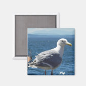 Magnet: Glaubengeflügelter Seagull Magnet (Vorderseite/Rückseite)