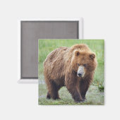 Magnet GRIZZLY BAR (Vorderseite/Rückseite)