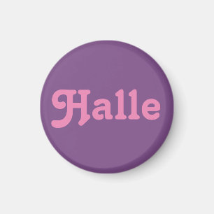 Magnet Halle