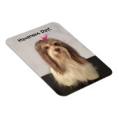 Magnet, HAVANESE DAY! von Nancy Lee Garrett Magnet (Rechte Seite)