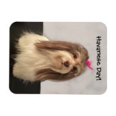 Magnet, HAVANESE DAY! von Nancy Lee Garrett Magnet (Horizontal)