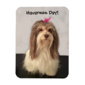 Magnet, HAVANESE DAY! von Nancy Lee Garrett Magnet (Vertikal)