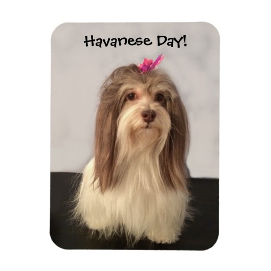 Magnet, HAVANESE DAY! von Nancy Lee Garrett Magnet (Vertikal)