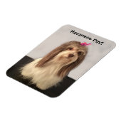Magnet, HAVANESE DAY! von Nancy Lee Garrett Magnet (Linke Seite)