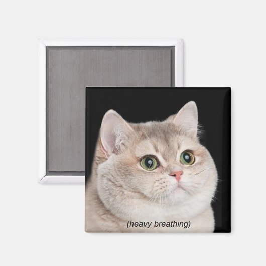 Magnet Heavy Breathing Cat Meme (Vorderseite/Rückseite)