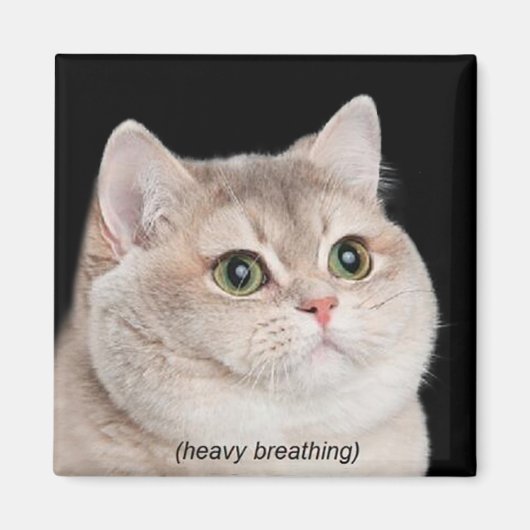 Magnet Heavy Breathing Cat Meme (Vorne)