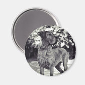 Magnet Helia (Vorderseite/Rückseite)