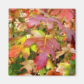 Magnet "Herbstleaves" (Vorne)