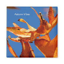 Magnet "Herbstverläufe auf blauem Himmel"