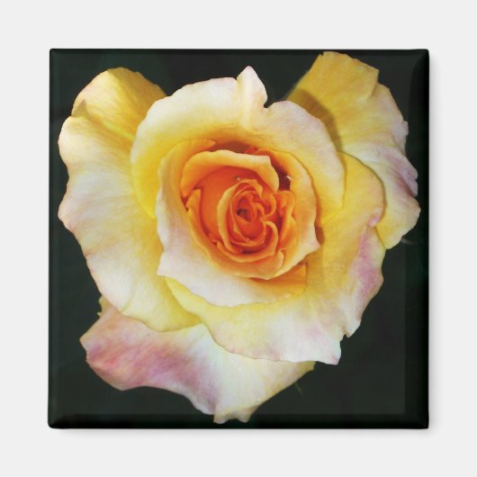 Magnet Herz-Rose (Vorne)