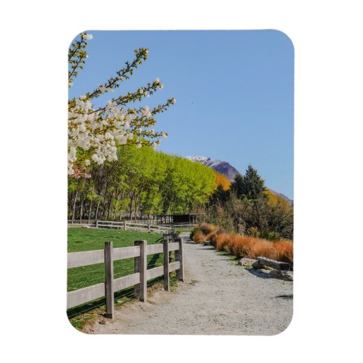 Magnet - Hintergrund von Walter's Peak (Vertikal)