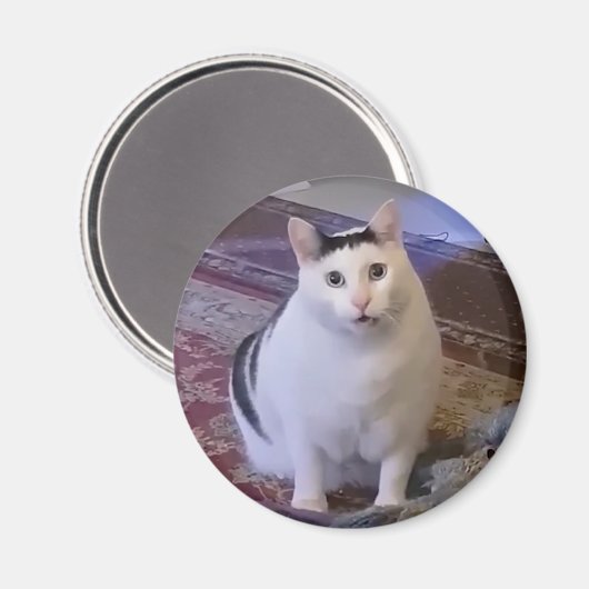 Magnet Huh Cat Meme (Vorderseite/Rückseite)