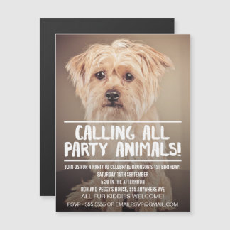 | MAGNET | Hund erfüllt Puppy - Party Einladung