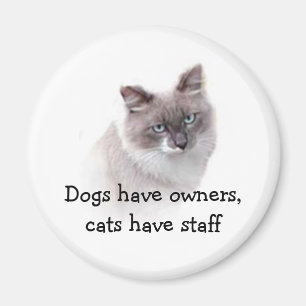 Magnet - Hunde haben Eigentümer, Katzen haben