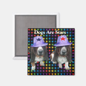 Magnet-Hunde sind Sterne Magnet (Vorderseite/Rückseite)