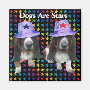 Magnet-Hunde sind Sterne Magnet