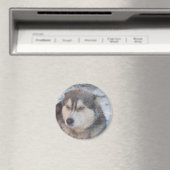 Magnet Husky Blue Eyes (In Situ (Geschirrspüler))
