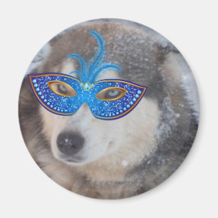 Magnet Husky Blue Eyes Mardi Gras Mask
