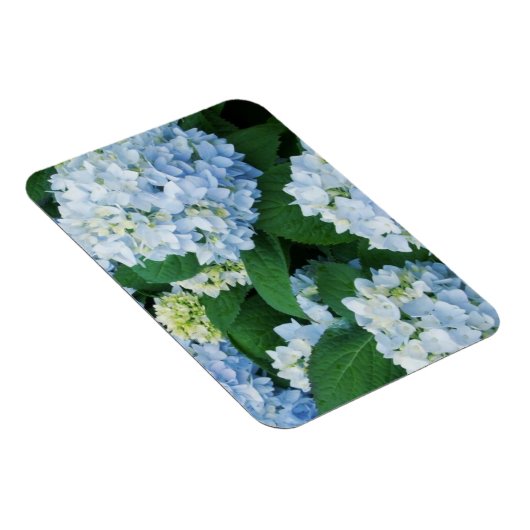 Magnet Hydrangea (Rechte Seite)