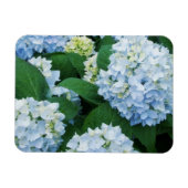 Magnet Hydrangea (Horizontal)