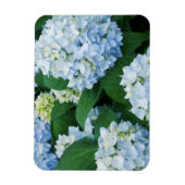 Magnet Hydrangea (Vertikal)