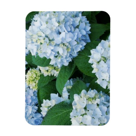 Magnet Hydrangea (Vertikal)