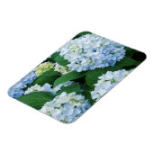 Magnet Hydrangea (Linke Seite)