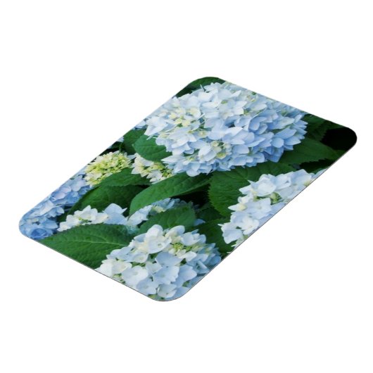 Magnet Hydrangea (Linke Seite)