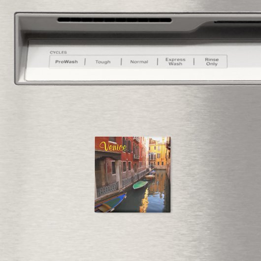 Magnet in Venedig (In Situ (Geschirrspüler))