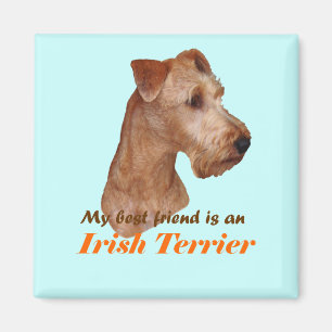 Magnet "Irish Terrier"