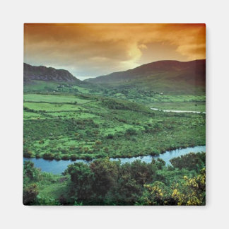Magnet-Irland Magnet