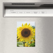 Magnet - Isolierte Sonnenblume (In Situ (Geschirrspüler))