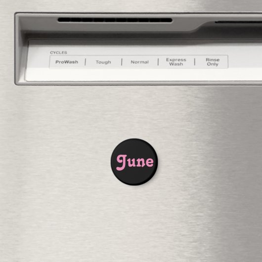 Magnet June (In Situ (Geschirrspüler))