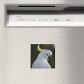 Magnet Kakadu (In Situ (Geschirrspüler))