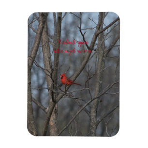 Magnet-Kardinäle erscheinen, wenn Engel nahe. Magnet