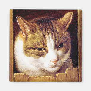 Magnet: "Katze, die lugt durch einen Zaun " Magnet