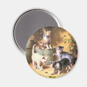 Magnet: "Kittens Playing with Käfer" Magnet (Vorderseite/Rückseite)