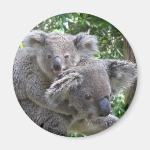 Magnet Koala und Baby Australien Foto
