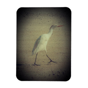 MAGNET-KUNST & DESIGN-DEKORATIONSSTILE MAGNET