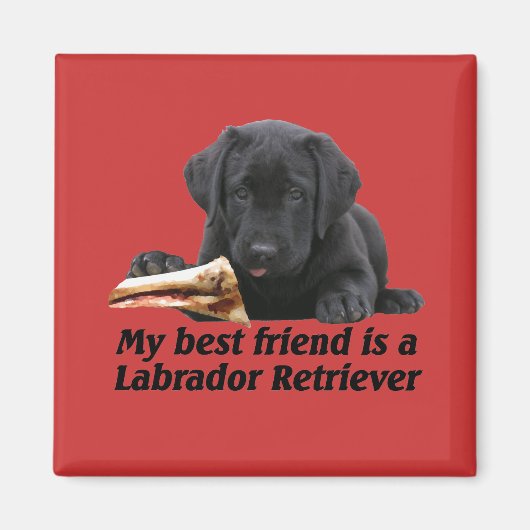 Magnet "Labrador Retriever" (Vorne)